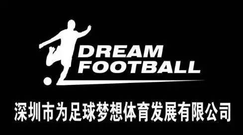 体育风云：女队掀起胜利旋风，让世界为之震撼的简单介绍